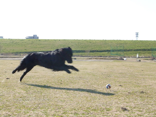 c0040702_19115452.jpg