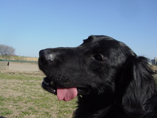 c0040702_19122197.jpg