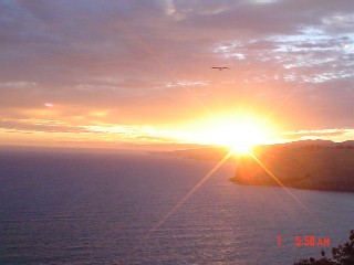 a0018711_0314067.jpg