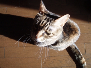 a0027720_11421331.jpg