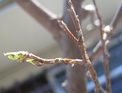 b0043525_13442025.jpg