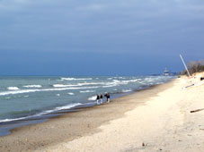 600キロ走った週末。 -Indiana Dunes-　3/20(日）_a0029873_1320253.jpg