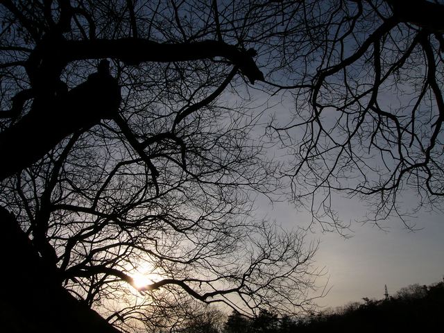 c0062511_22251387.jpg