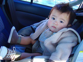 最近の孫です。成長の速さに驚いています。_b0033423_9431642.jpg