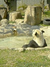 久しぶりに動物園に行ってきた_a0002244_1464849.jpg