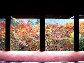 高山寺、紅葉を鑑賞　（京都）_b0067283_358296.jpg