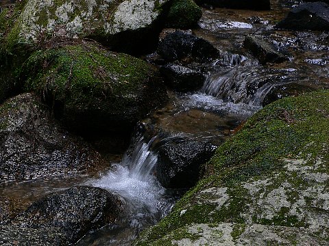 竜王の滝　　SSの実験　　（in月ヶ瀬ミニ撮影会）_c0064087_10503752.jpg