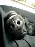 c0040702_20542470.jpg