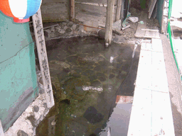 c0062106_14215626.gif