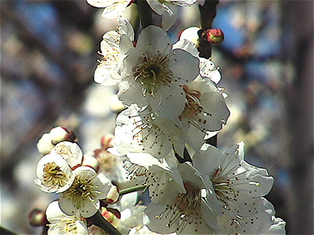 b0065730_2153828.jpg