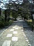 c0005235_05210.jpg