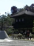 c0005235_0985.jpg