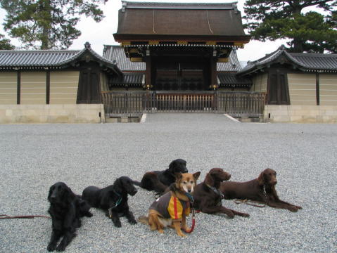 寂光院、三千院、京都御所_c0048736_15465163.jpg