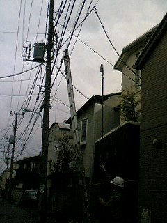 はしごかかる電線_a0024400_14231951.jpg