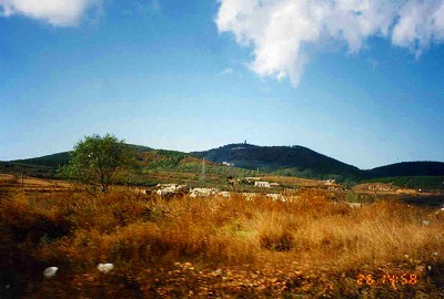 c0038611_163644.jpg