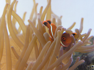 b0026541_0102972.jpg