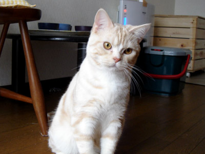 ご家族ご一行さま_b0053645_7582386.jpg