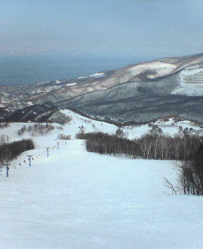 a0004449_2129463.jpg