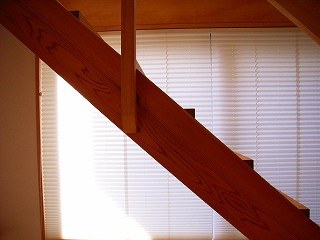 c0019551_22535317.jpg