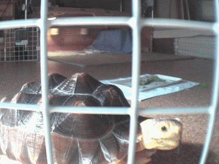 b0055276_22501252.gif