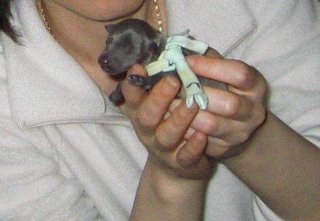 c0059066_22304712.jpg