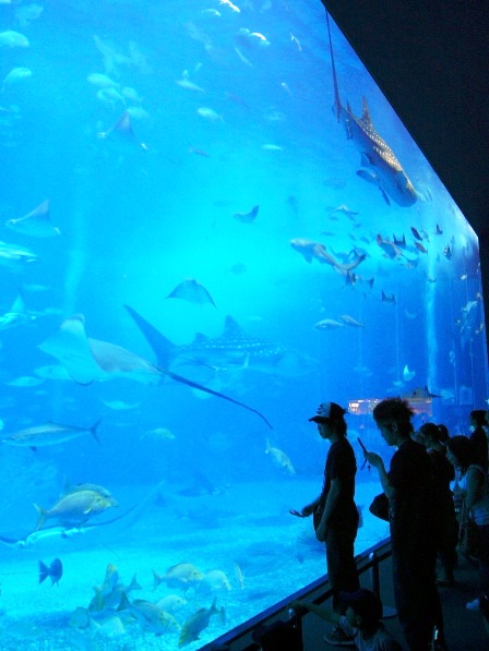 c0039010_2432071.jpg