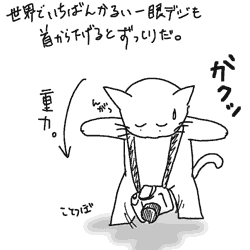 a0001756_14252262.gif