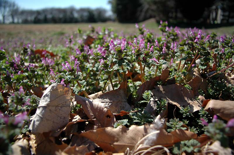 c0043361_2303317.jpg