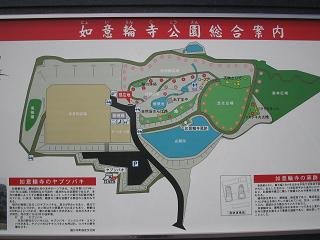 如意輪寺公園 走る ゆうゆう 親子 如意輪寺公園 走る ゆうゆう 親子