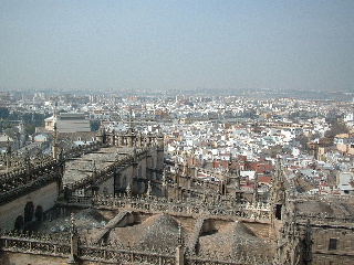 a0019915_22445690.jpg