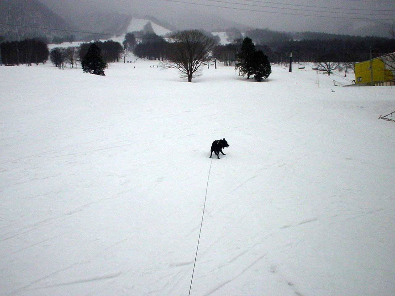 b0066826_10173731.jpg