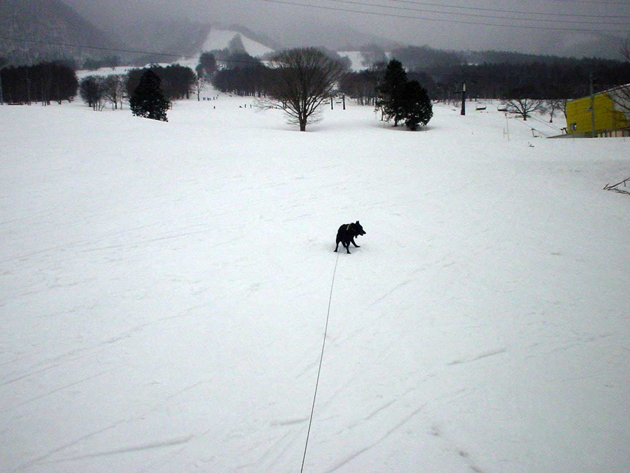 てくてく探検隊in黒姫高原_b0066826_10173731.jpg