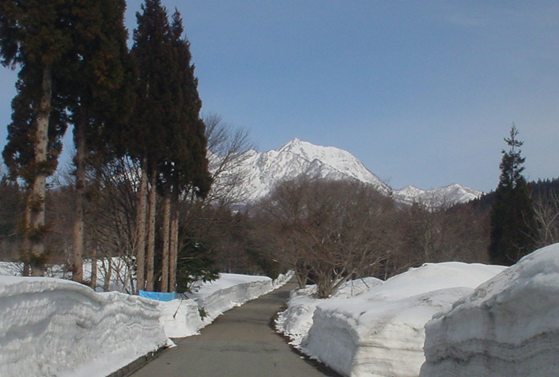 b0066826_17442568.jpg