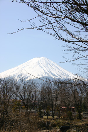 3月27日  湖畔からの富士山_a0008934_115462.jpg