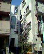 d0002843_16391686.jpg