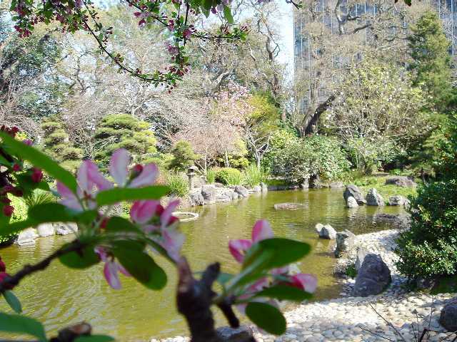 US旅行２日目　サン・マテオの公園、ショッピング_d0010048_12535953.jpg