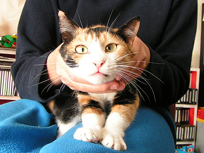 より目のミツマメ・・・_a0028451_12524787.jpg