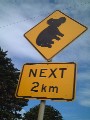 c0053898_22371170.jpg
