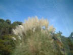 c0053898_22393922.jpg