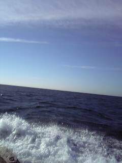 c0065309_2232357.jpg