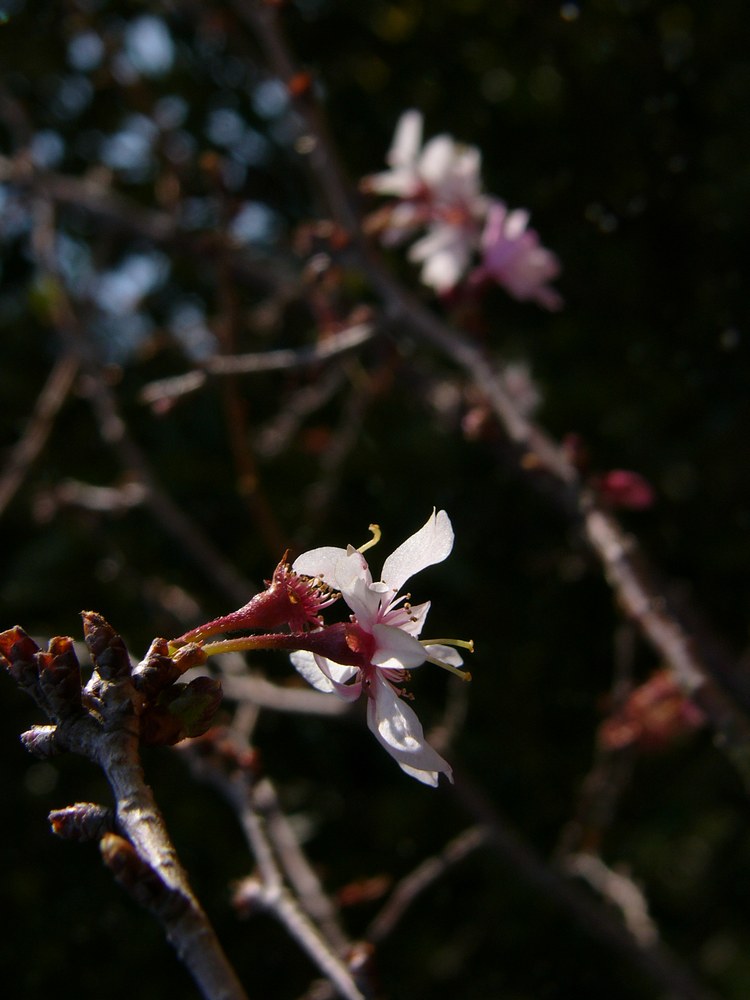 c0062511_213463.jpg