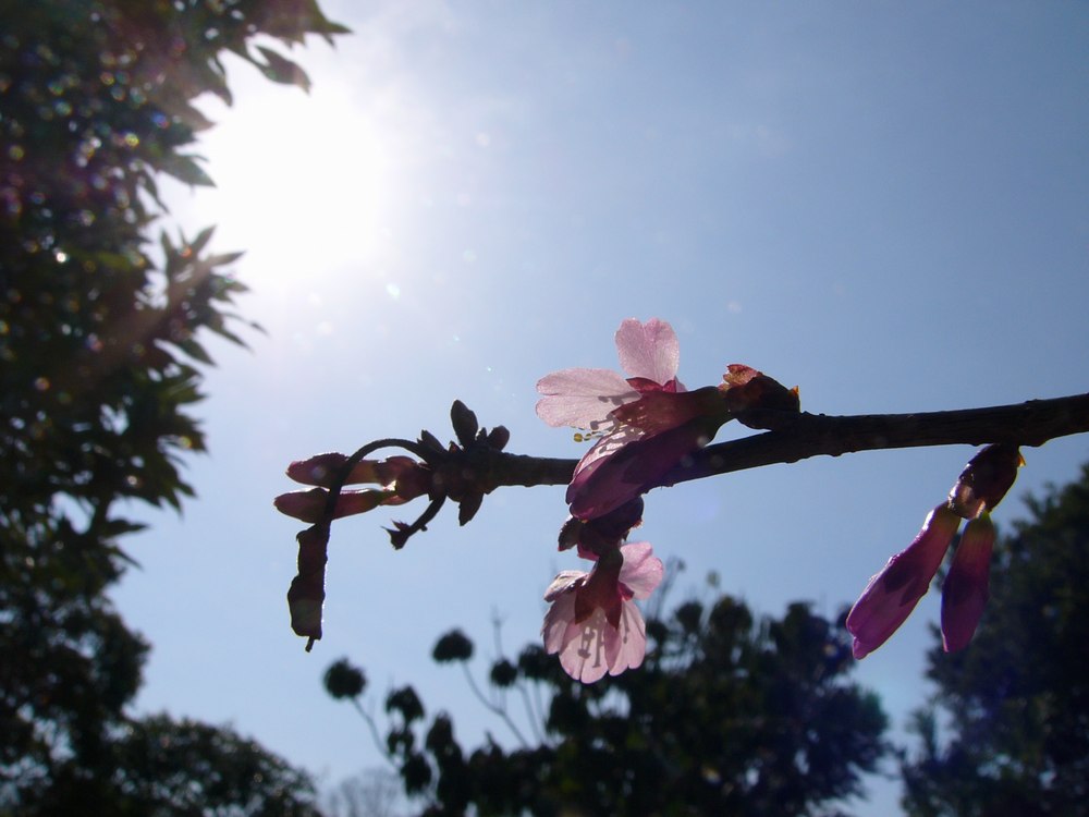c0062511_2141592.jpg