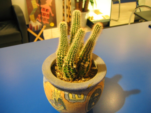 c0016112_120216.jpg