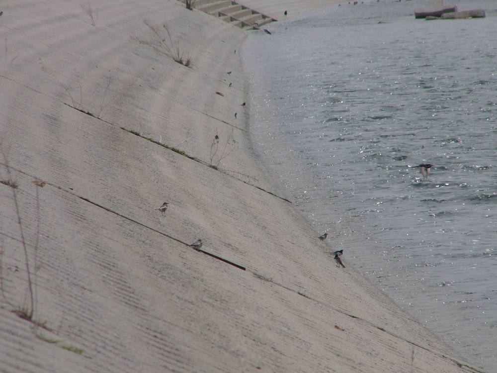 c0062511_211509.jpg