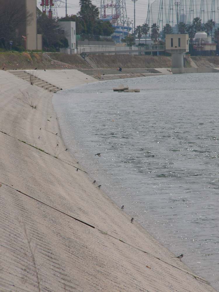 c0062511_2124211.jpg