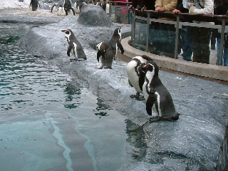 c0006312_17243970.jpg