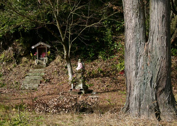 佐賀の風景　「迷作の展覧会」ーラスト_c0014538_23511194.jpg