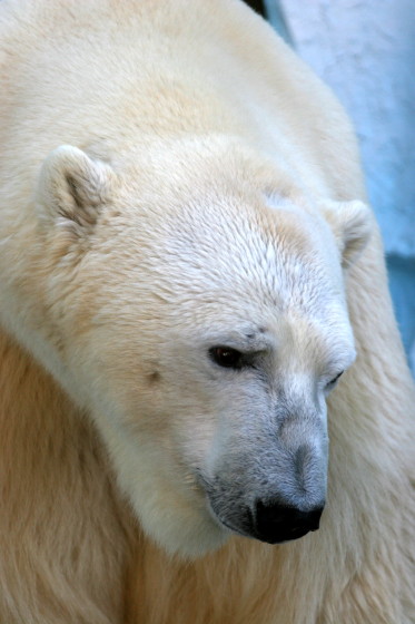 b0016600_431427.jpg