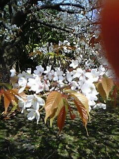 c0037701_21523810.jpg