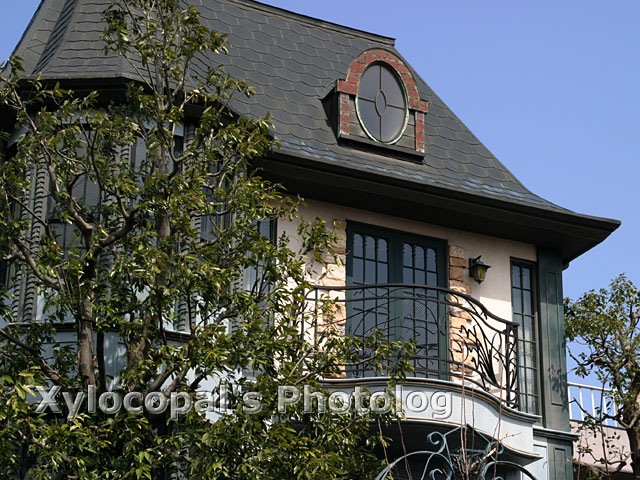 近所の洋館 Xylocopal's Photolog